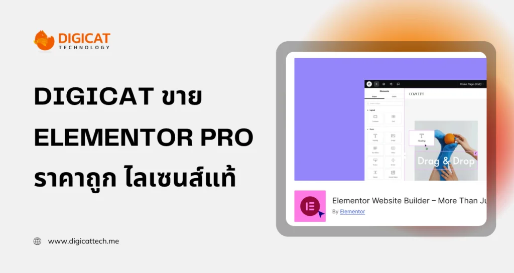 Digicat ขาย elementor pro ราคาถูก ไลเซนส์แท้