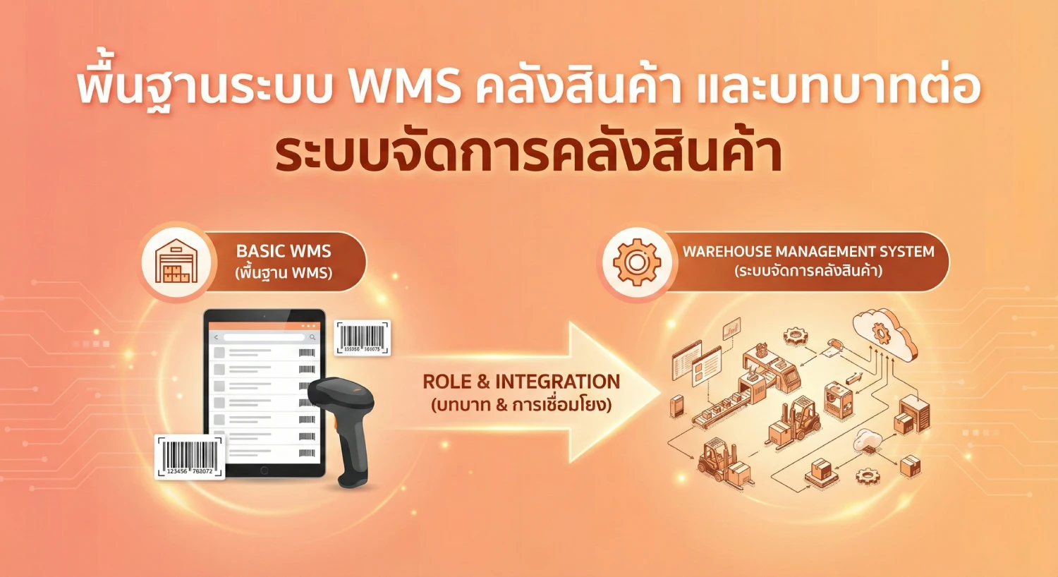พื้นฐานระบบ WMS คลังสินค้า และบทบาทต่อ ระบบ จัดการ คลังสินค้า